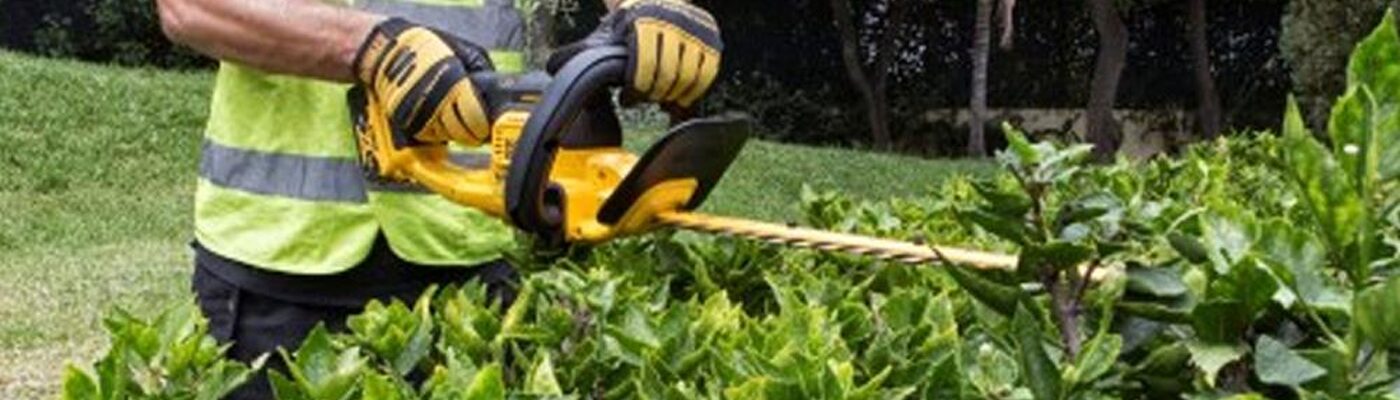 Dewalt DCM563PB 18V XR Hedge Trimmer Banner