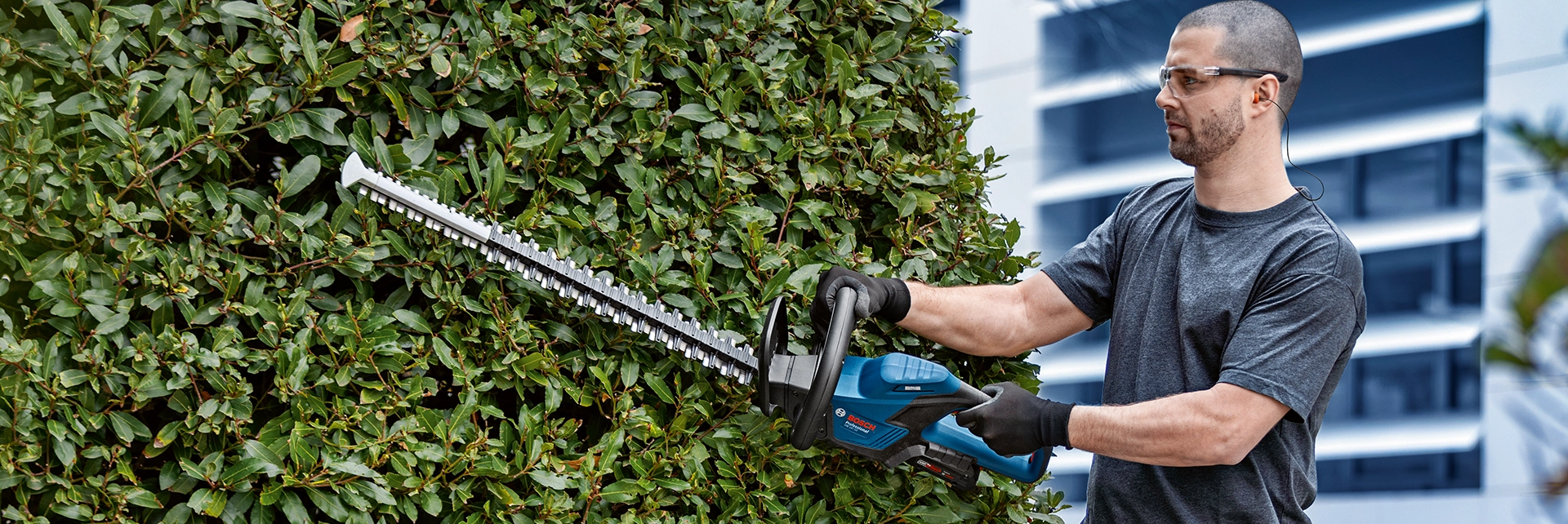 Picture of a man using the Bosch GHE 18V-60 18V Brushless Hedge Trimmer.